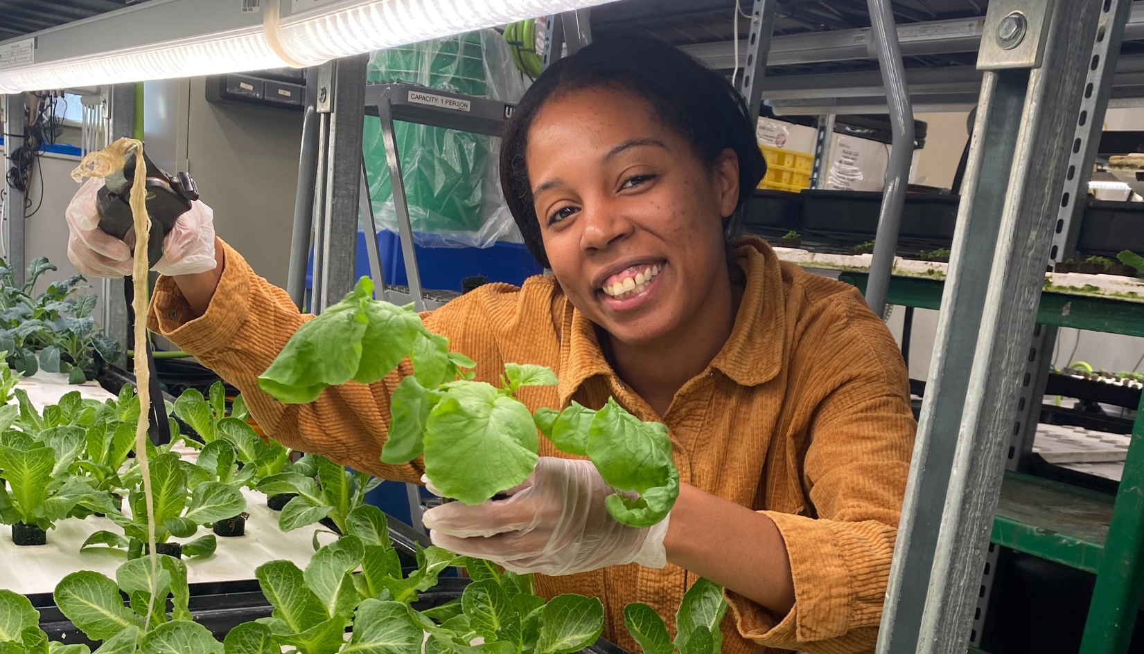 Small Business Development Center (Bronx SBDC) at Lehman College work 4